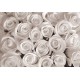 Oaza de trandafirii albi - fototapet