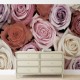 Oaza de trandafiri roz-mov-rosu - fototapet