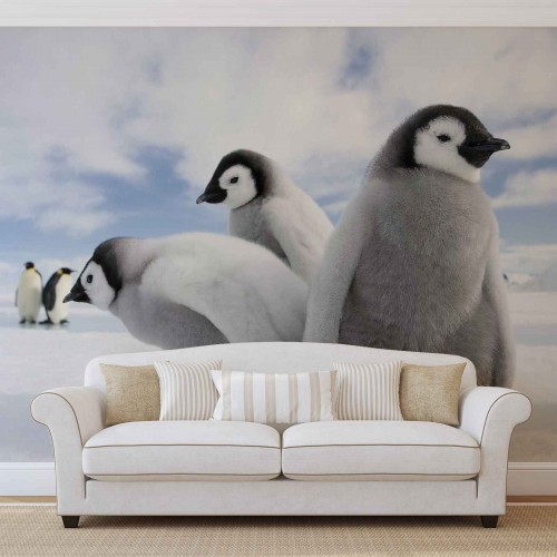Pinguini I - fototapet animale