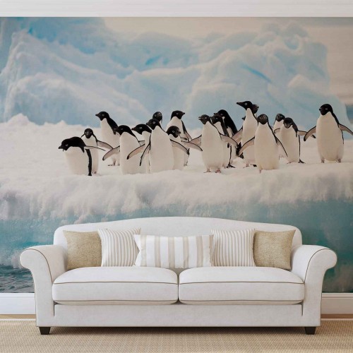 Pinguini II - fototapet animale