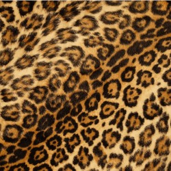 Animal print. Jaguar - fototapet vlies
