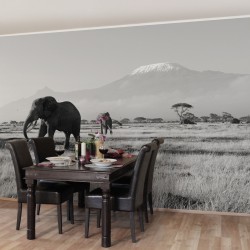 Elefanti. Kilimanjaro - fototapet animale