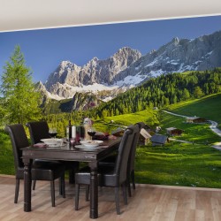 Faneata Alpina. Styria - fototapet vlies