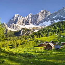 Faneata Alpina. Styria - fototapet vlies