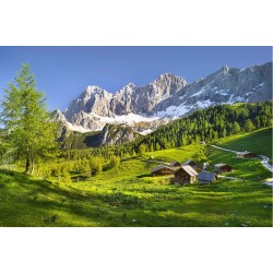 Faneata Alpina. Styria - fototapet vlies
