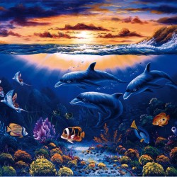 Lumea delfinilor - fototapet animale