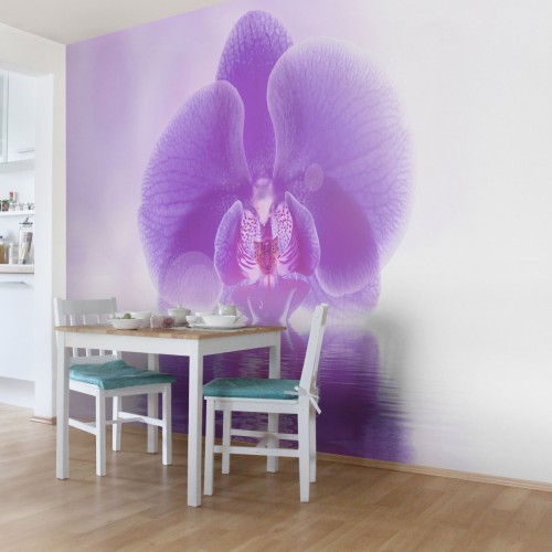 Orhideea violet pe apa - fototapet vlies