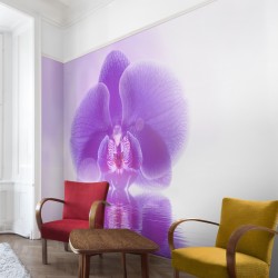 Orhideea violet pe apa - fototapet vlies