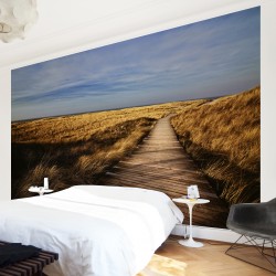 Poteca prin dunele de nisip - fototapet vlies