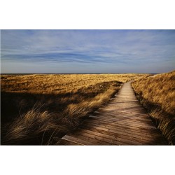 Poteca prin dunele de nisip - fototapet vlies