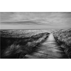 Poteca prin dunele de nisip. Peisaj monocrom - fototapet vlies