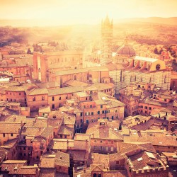 Siena incinsa - fototapet vlies