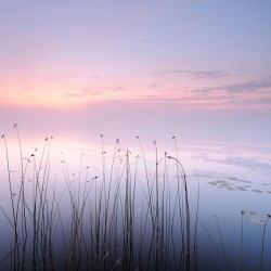 Natura idilică - fototapet vlies