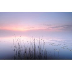 Natura idilică - fototapet vlies