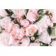 Bujor roz cu frunze - fototapet vlies
