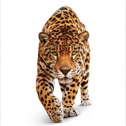Jaguar înfiorător - fototapet animale