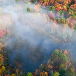 Vedere aeriană, simfonie de toamnă - fototapet vlies