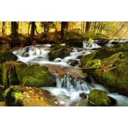 Fototapet cascadă de toamnă