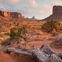 Monument Valley Navajo Tribal Park din Arizona - fototapet vlies