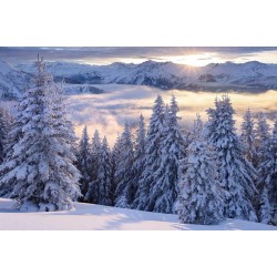 Vedere spre Hohen Tauern din Austria - fototapet vlies