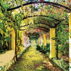 Fototapet peisaj Pergola 416x254cm
