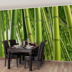 Bamboo - fototapet vlies