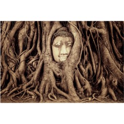 Buddha in radacini de copaci - fototapet vlies