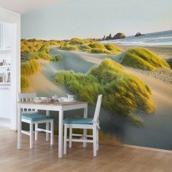 Dune de nisip si iarba la mare - fototapet vlies