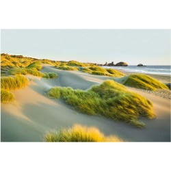 Dune de nisip si iarba la mare - fototapet vlies