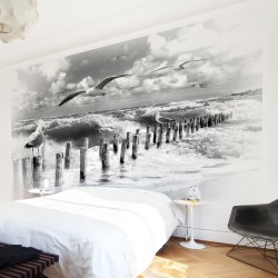 Insula Sylt alb-negru - fototapet pescăruși