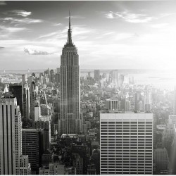 Manhattan in nuante de gri - fototapet vlies