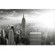 Manhattan in nuante de gri - fototapet vlies