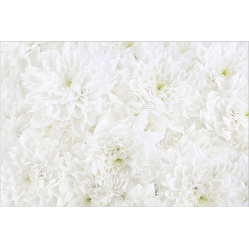 Marea oaza de flori albe - fototapet vlies
