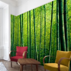 Padurea de bamboo - fototapet vlies
