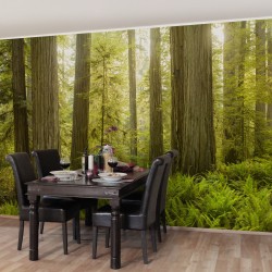 Padurea din Redwood - fototapet vlies