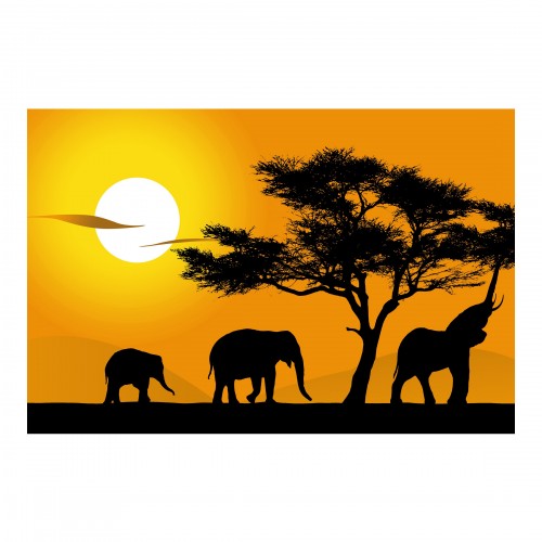 Plimbarea elefantilor africani - fototapet animale