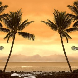 Apus in Caraibe - fototapet vlies