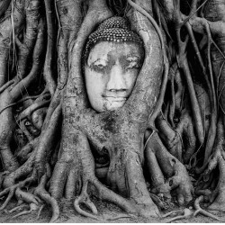 Buddha in alb si negru - fototapet vlies