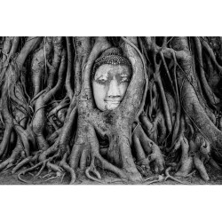 Buddha in alb si negru - fototapet vlies