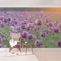 Campul de maci mov, primavara - fototapet vlies