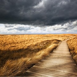 Carare prin dunele de nisip - fototapet vlies