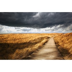 Carare prin dunele de nisip - fototapet vlies