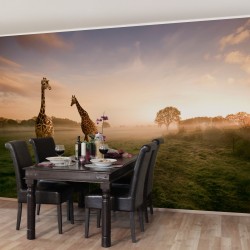 Decor cu girafe - fototapet animale