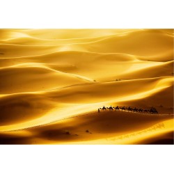 Dune aurii de nisip - fototapet vlies