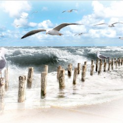 Insula Sylt -fototapet cu pescăruși