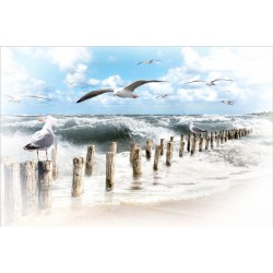 Insula Sylt -fototapet cu pescăruși