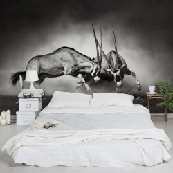 Lupta salbatica - fototapet animale