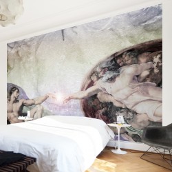 Michelangelo - fototapet vlies