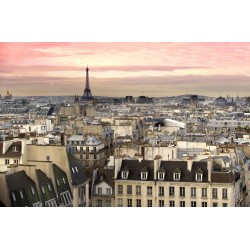 Romanticul Paris - fototapet vlies