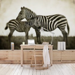 Zebra femela si manzul - fototapet animale